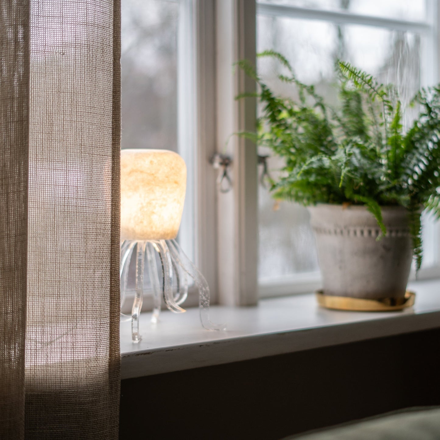 Seeba Bubbly | Tapered