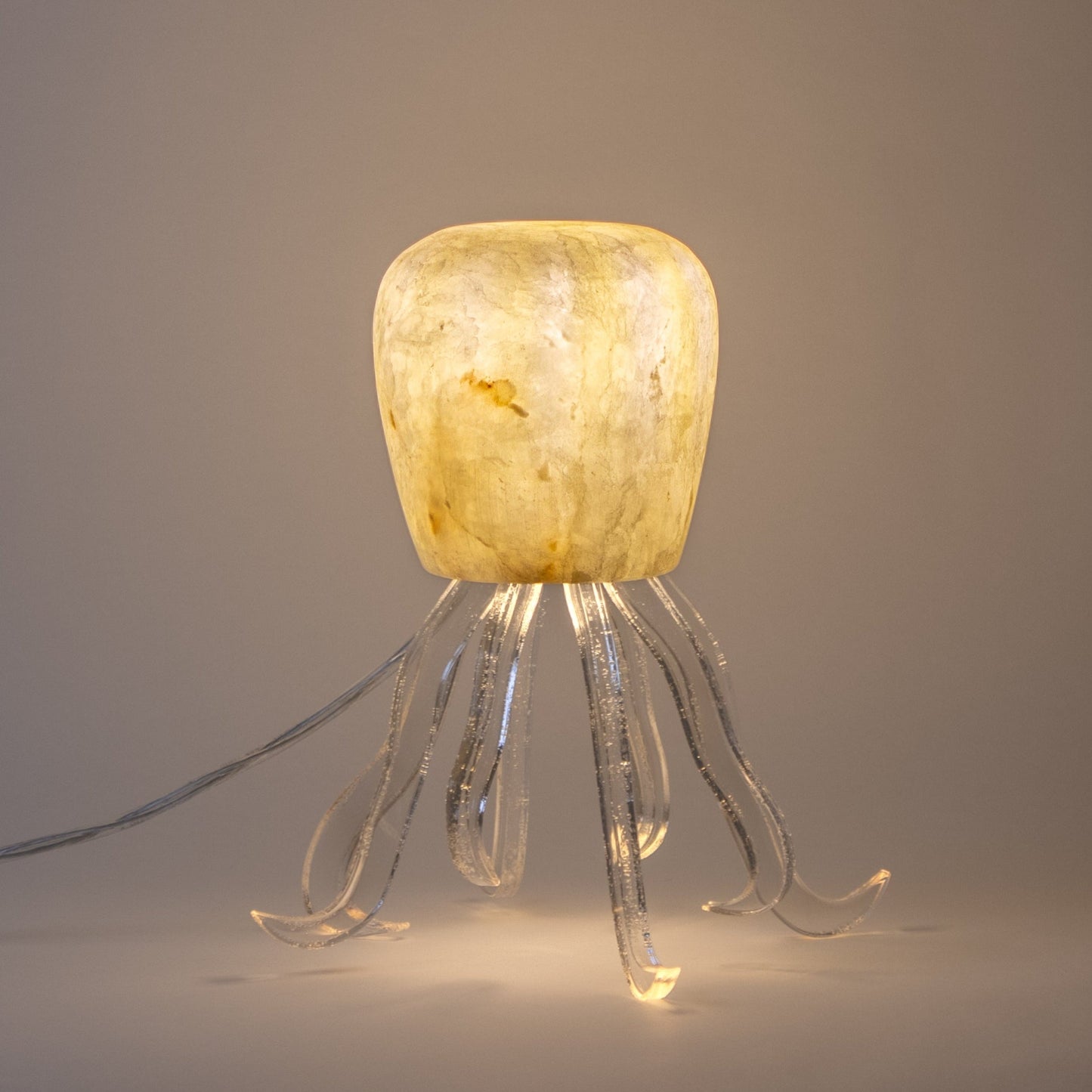 Seeba Bubbly | Tapered