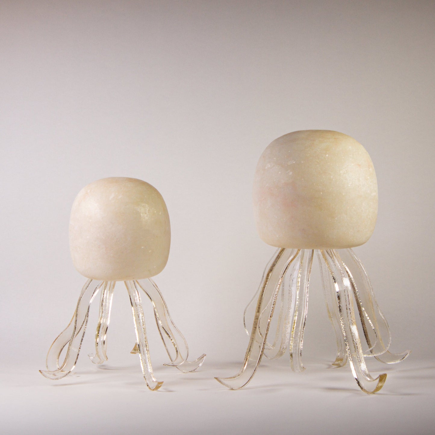 Seeba Bubbly | Round