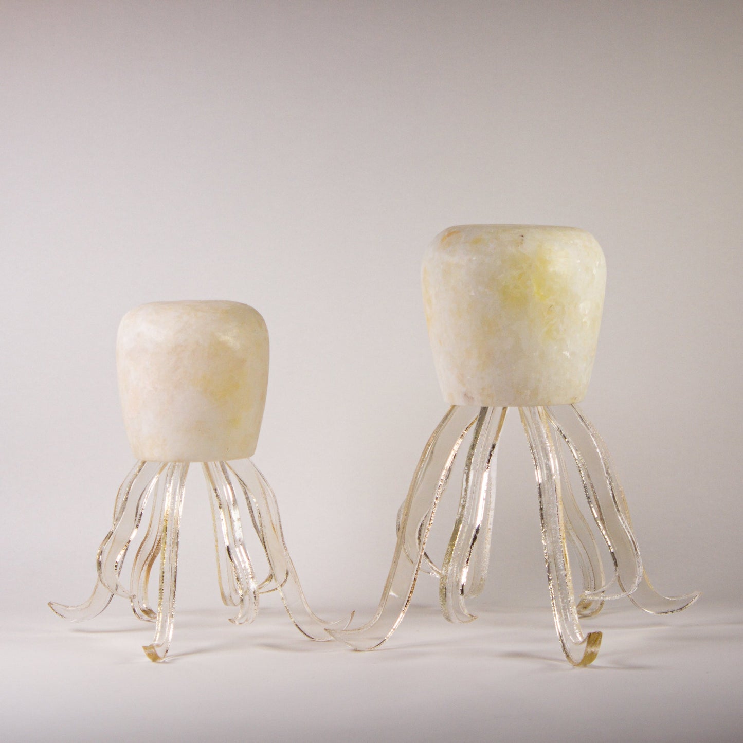 Seeba Bubbly | Tapered