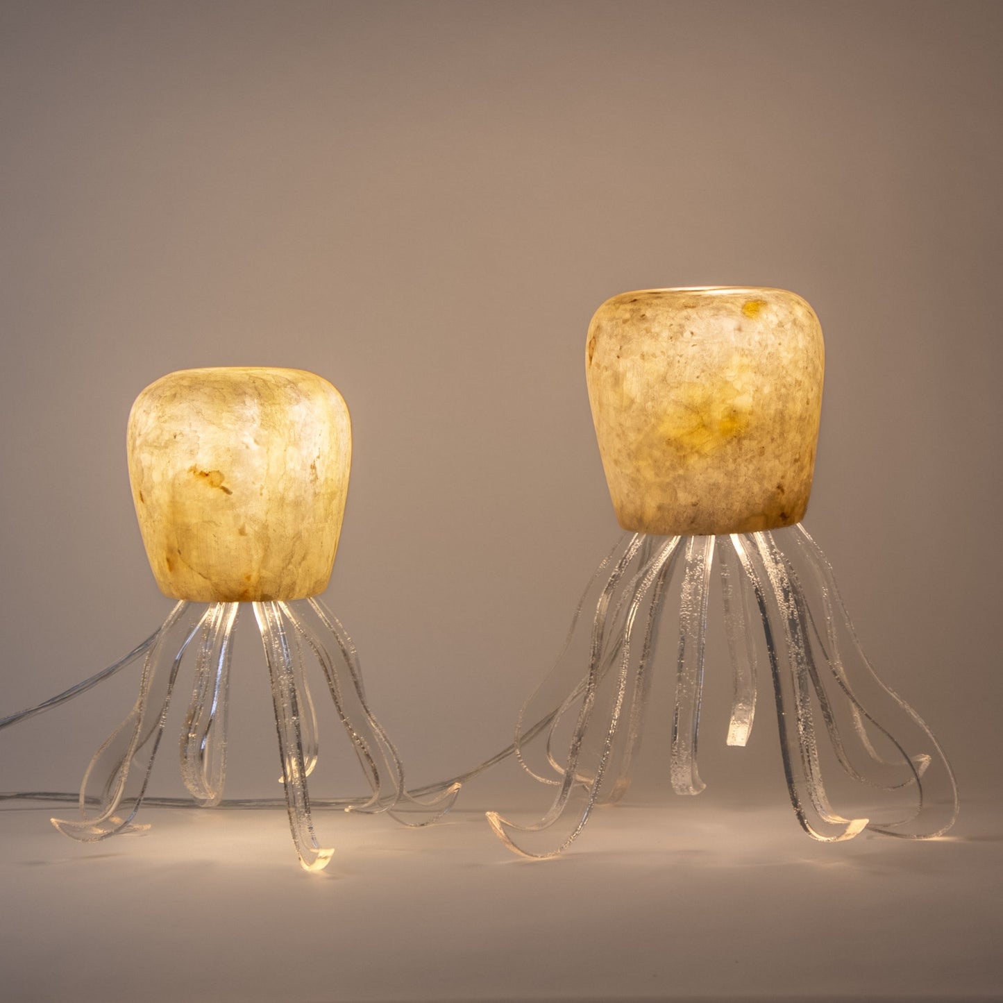 Seeba Bubbly | Tapered