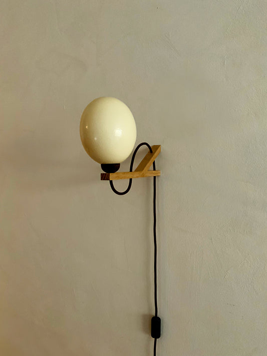 Lunar Lumin | Perched